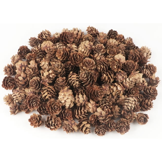 30 piñas decorativas, piñas naturales a granel - Mini piñas, piñas navideñas para mesa, manualidades para árboles de Navidad, regalos, Acción de Gracias, otoño y Navidad, decoración del hogar