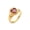 Red, variant on Womens Stainless Steel Ring 18K Gold Plated Crown Ring With Zircon Loving Heart Vintage Fashion Ornament Gift Idea