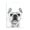 French Bulldog Glasses_v1, variant on Stupell Industries Contemporary Monochrome Golden Retriever Dog Smiling Glasses Design Black Framed Giclee Art, 11 x 14, by Annalisa Latella