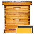 thumbnail image 1 of Bee Hiveaura Bee Hiveaura Beginner, 10 marcos recubiertos de cera de abejas, 1 of 6