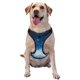 thumbnail image 1 of Balery Blue Glitter Sparkles Arnés para Perros Grandes Antitirones, Arnés con Correa para Gato, Arnés Tipo Chaleco para Perros Pequeños-Large, 1 of 6