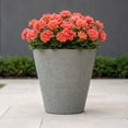thumbnail image 2 of Algreen Crete 16" Self-Watering Planter, Round, Warm Grey Resin, 2 of 5