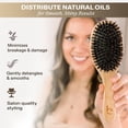 thumbnail image 2 of Boar Bristle Hair Brush - Natural Boars Bristle Hairbrush for Women, Men & Kids, Soft Bristles for Thin and Fine Hair, Anti-Frizz & Tangle-Free Smoothing Brush, Gentle on Scalp, 2 of 8
