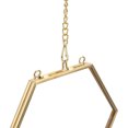 thumbnail image 4 of Easy Hung Specimen Picture Frame Specimen Display Frame, Specimen Frame, For Wall Bedroom Office Living Room Coffee Shop, 4 of 8