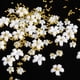 thumbnail image 5 of Ruifaya Cuentas de flores 3D de cristal acrílico para decoración de uñas, linda manicura _ε .а б. }◇ ◇ю, 5 of 6