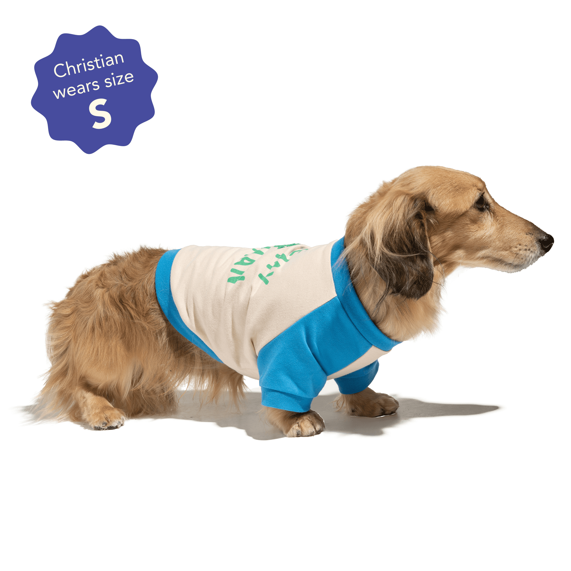 Oodles Blue Love My Human Spring Raglan Dog T-Shirt, Small