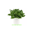 thumbnail image 2 of 6pcs Adornos Decoración Hogar De Plantas Artificiales Green2 hoja verde linea guinda, 2 of 5