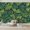Color 1, variant on Wallpaper Tropical Green Leaves Rainforest Jungle Botanical Peel and Stick Wall Murals 100"H x 144"W Removable PVC Wall Paper Self-Adhesive Wall Paintings Art Decor for Bedroom Living Room