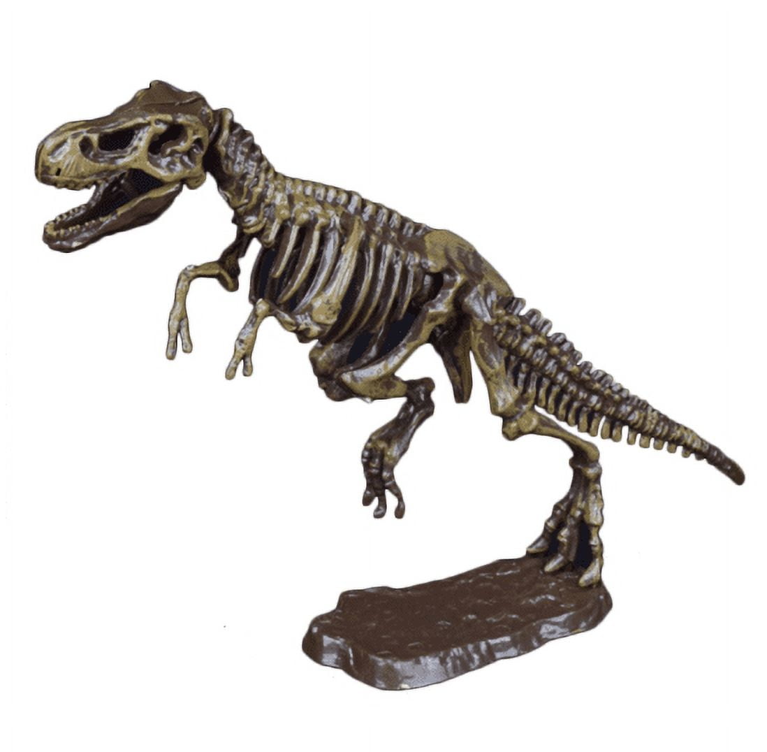 Prehistoric Past Dinosaur Skeleton Fossil Excavation Kit T-Rex