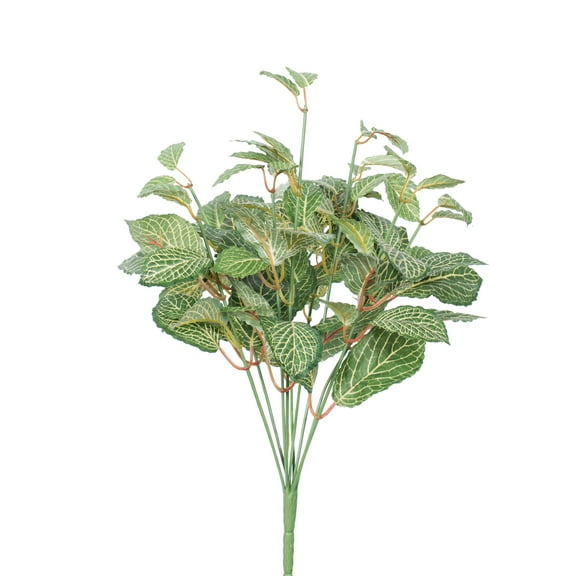 Vickerman 17" Artificial Green Fittonia Bush.