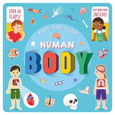 Pre-Owned Human Body : Lift-the-Flap Fact Book (Board book)