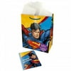 Bulk buys Large Superman Gift Bag with Card & Tissue