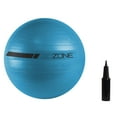 thumbnail image 1 of GoZone Exercise Ball, 1 of 6