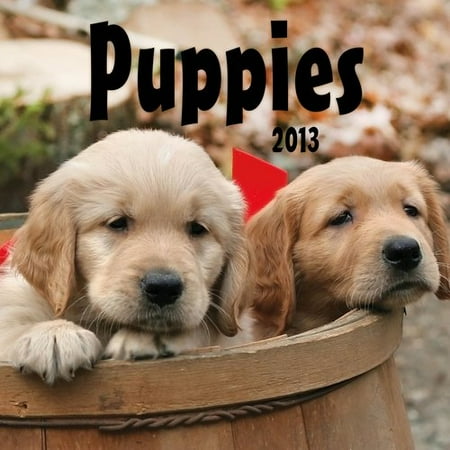 DaySpring "Puppies" 2013 Mini Wall Calendar