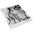 thumbnail image 3 of Print: Aerial View Of Hiroshima After The Bomb, 1946, 3 of 4
