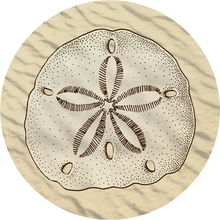 Thirstystone Occasions Drink Coasters, Sand Dollar