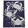 thumbnail image 2 of DCentral® Three Crabs Flexible Safety Screen Magnets: Double-Sided. Bright White-Easier to See Day & Night. Decorative. Helps to Stop Walking into Screens, Avg Sizes: 5" x 4", 2 of 6