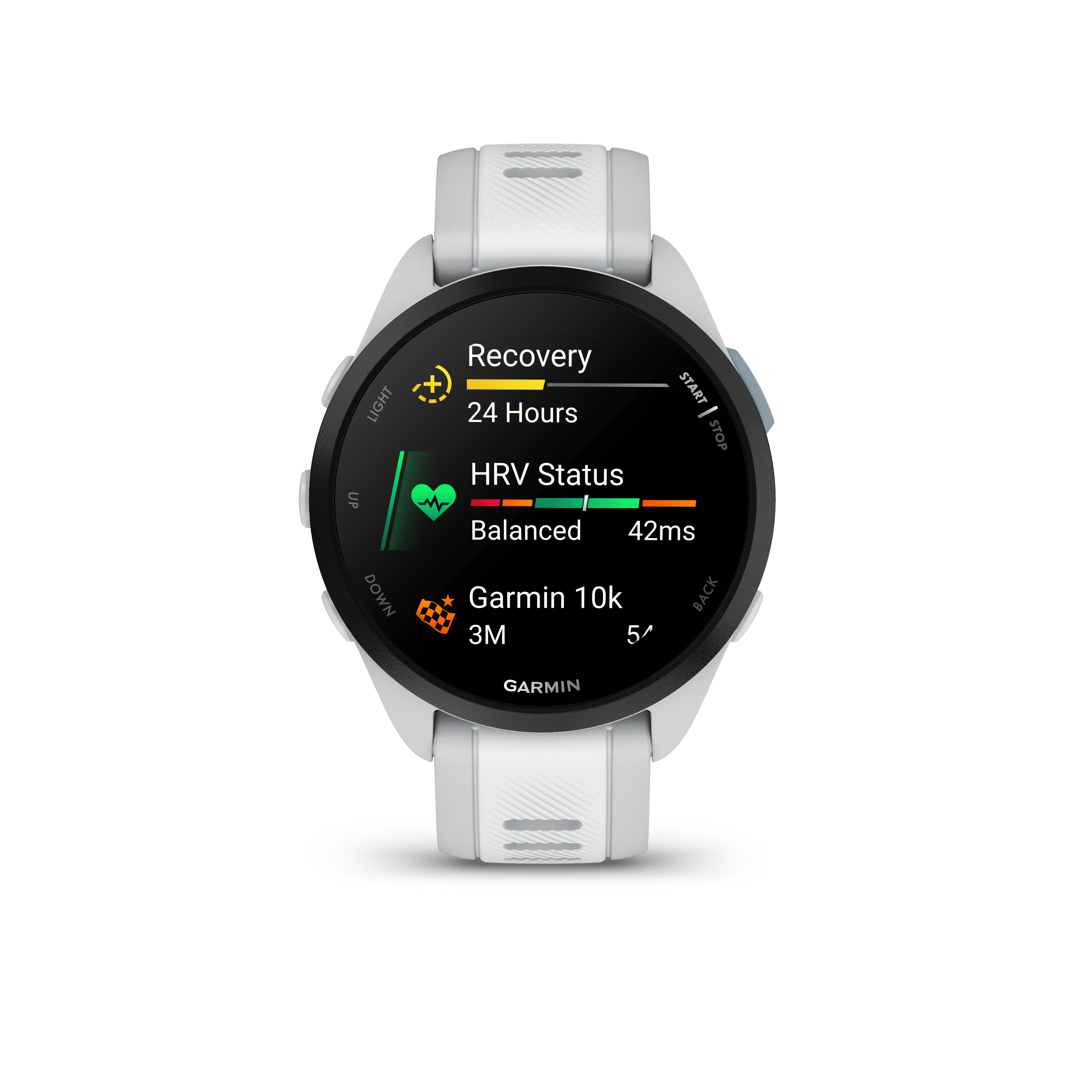 Garmin Forerunner 165 Music GPS Running Smartwatch, Mist Gray and Whitestone Bundle