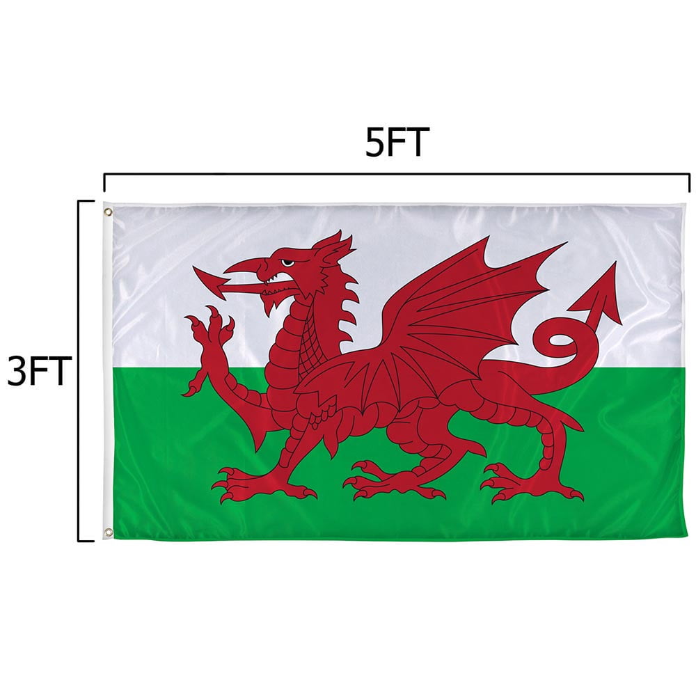 Vispronet 3ft x 5ft Wales Flag, Outdoor Country Banner, Flag Only
