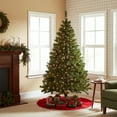 thumbnail image 3 of Northlight Pre-Lit Medium Mixed Classic Pine Artificial Christmas Tree - 6' - Warm Clear LED Lights, 3 of 4