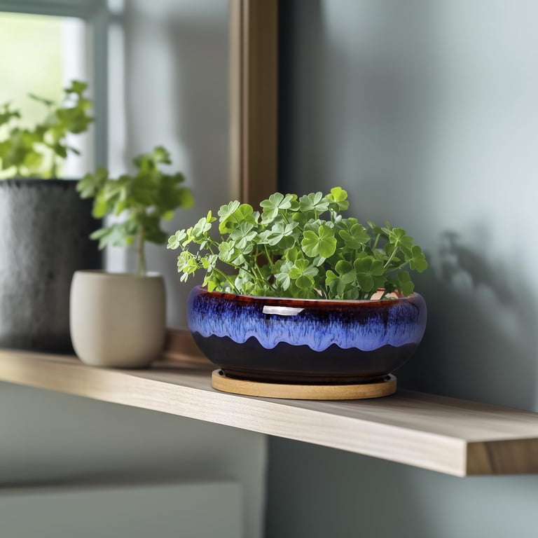 7 Inch Round Ceramic Succulent Planter with Bamboo Tray photo 4