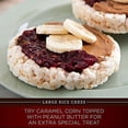 thumbnail image 3 of Quaker Large Rice Cakes, Gluten Free, 3 Flavor Variety Pack, 6 Count, 3 of 3