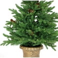 thumbnail image 4 of Fraser Hill Farm 3' Noble Fir Christmas Artificial Tree with Metallic Urn Base, 4 of 10