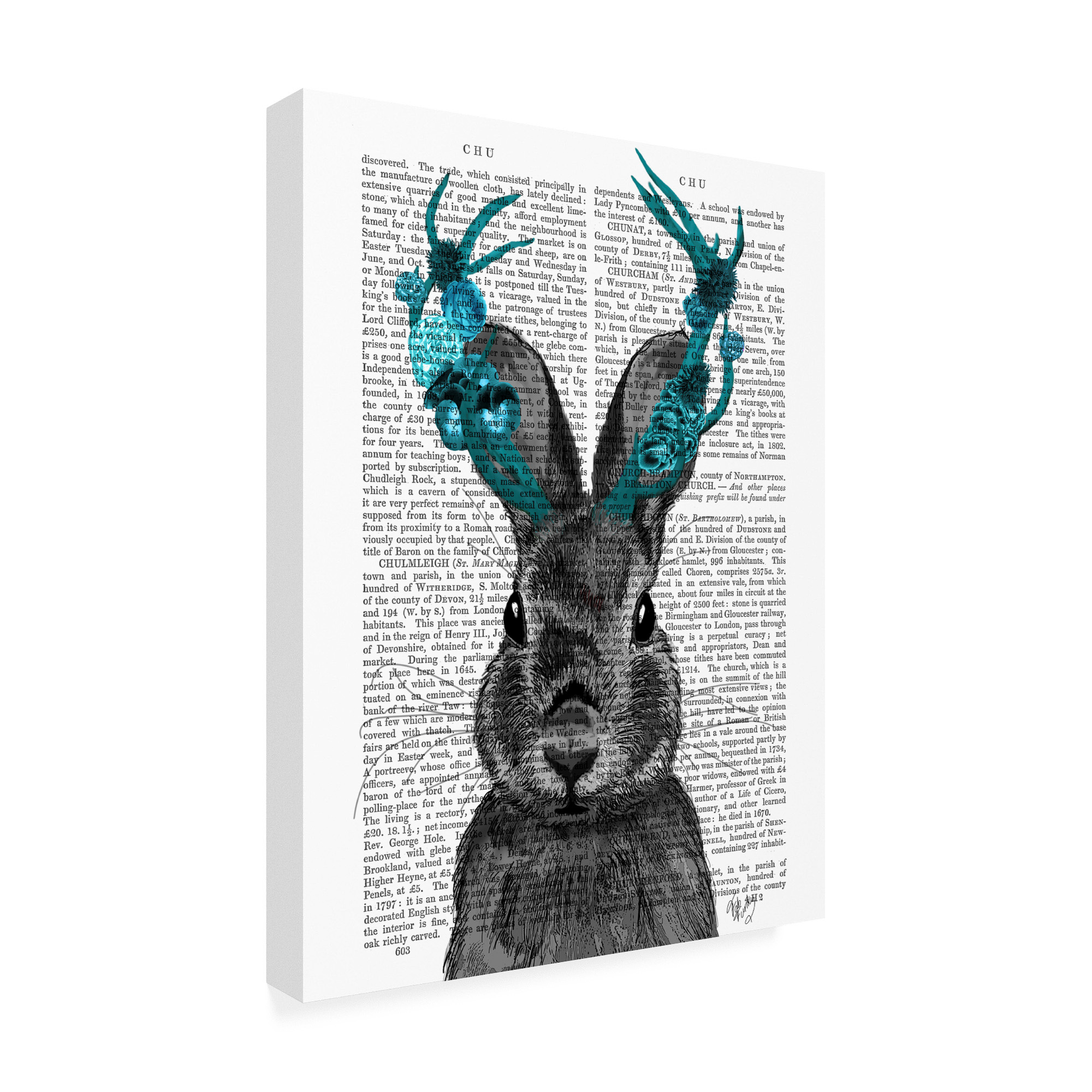 Trademark Fine Art 'Jackalope With Turquoise Antlers' Canvas Art by Fab Funky