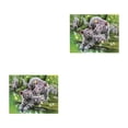 thumbnail image 4 of Toystoory DIY 5D diamante pintura bordado Animal patrón punto de cruz imagen Kit dibujos animados Animal cristal diamante pintura decoración 2 # 2piezas, 4 of 6