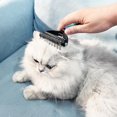 thumbnail image 4 of Pet Brush, Double-sided Comb For Cats And Dogs, 4 of 5