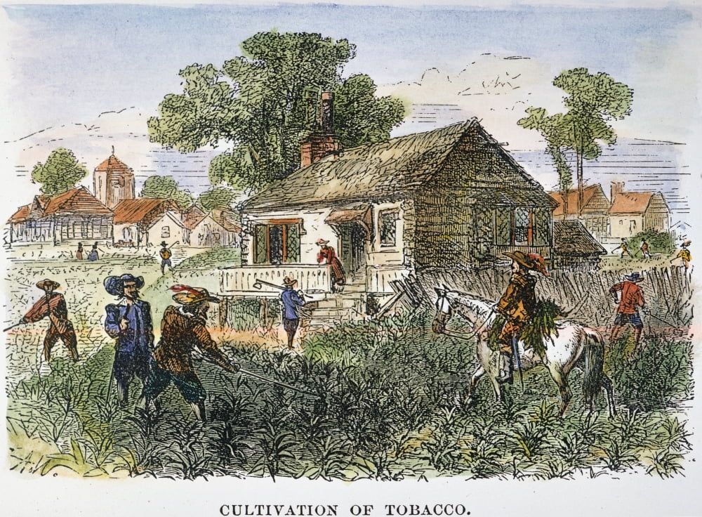 Tobacco Plantation Nthe Cultivation Of Tobacco In 17Th Century Virginia Line Engraving 19Th