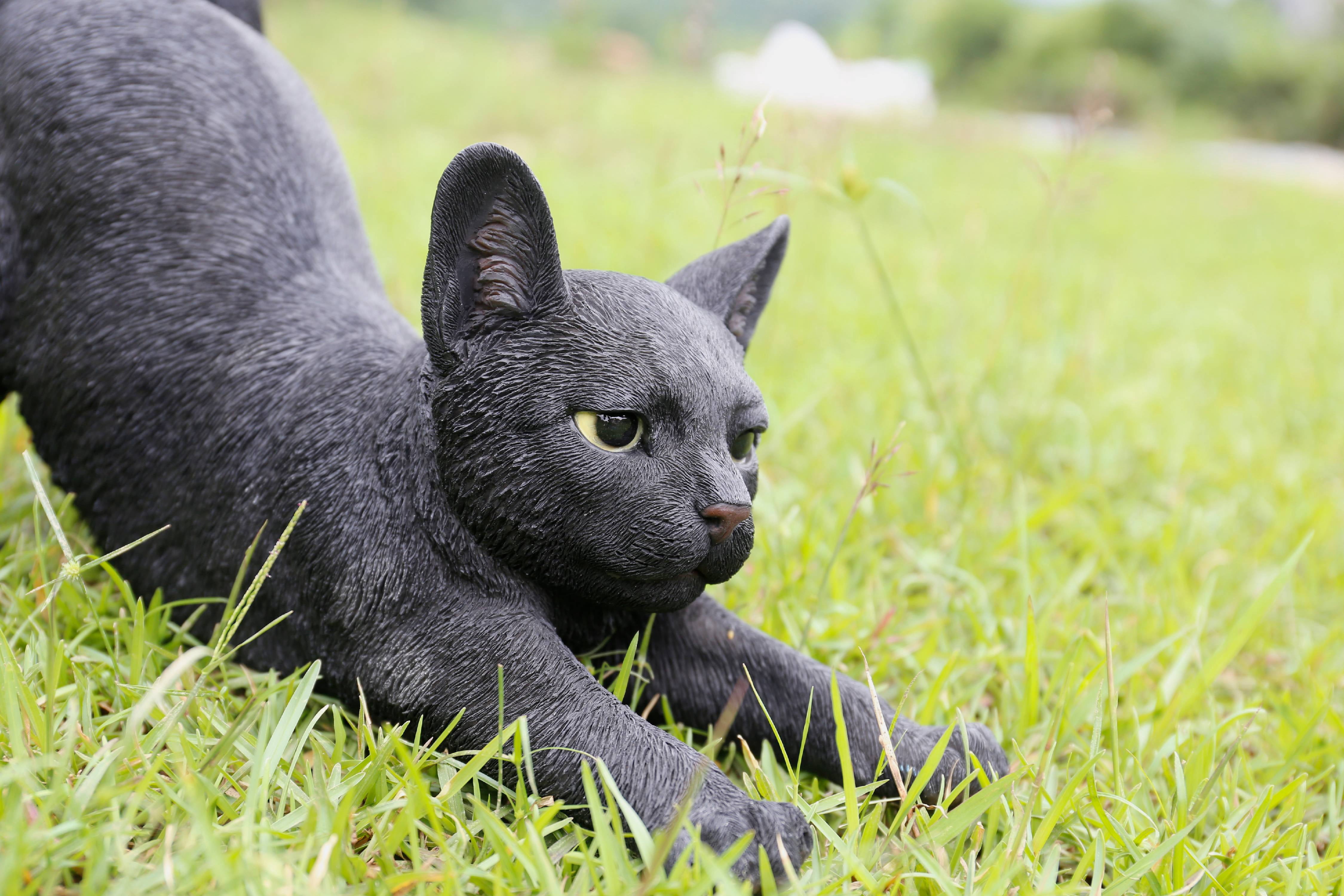 Hi-Line Gift Cat Stretching-Black, 2.64 lbs., 14.76inchL x 5.31