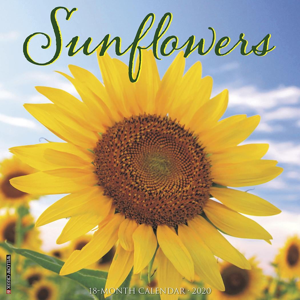 Sunflowers 2020 Wall Calendar (Other)