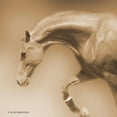 thumbnail image 3 of Brooks, Kari 20x20 Black Modern Framed Museum Art Print Titled - Arch Sepia, 3 of 5