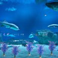 thumbnail image 2 of 1 pieza de simulación de coral cuerno de ciervo, plantas acuáticas de plástico, paisajismo, decoración para acuarios y peceras., 2 of 6