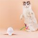 thumbnail image 5 of Juguete Automático Para Gatos, Rotación De 360 ​​Grados, Mariposa Brillante, Divertido Robo Inteligente Para Mascotas, Tienda De Mascotas Para Gatos Domésticos Eigraketly PT001615-02, 5 of 7