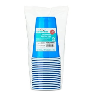 Hefty Party On, Plastic Cups, 16 oz, 100 ct, Durable, Disposable, Colorful  Design - Walmart.com