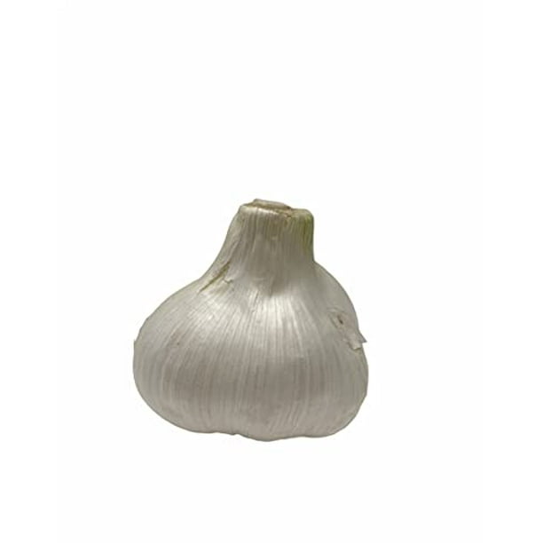 Elephant Garlic (Ajo Elefante) Sorted Bulbs! Great for Fall Planting! Different Sizes! (1 LB