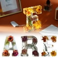 thumbnail image 4 of Pekkaxy Floral Resin Night Light Letter With LED - Pressed Flower Light Up Sign - Personalized Creative Lamp for Home, Party, Christmas, Wedding, 4 of 6