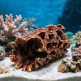 thumbnail image 5 of huayou Artificial Fish Shrimp Hideout, Durable Small Fish Shrimp Hide Cave, for Fishtank Aquarium Decor, 5 of 6