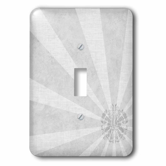 3dRose, Steel Gray Sun Burst, single toggle switch