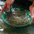 thumbnail image 4 of 15in Gold Panning Pan Prospecting Sluice Basin With Riffles ABS Gold Mining Pan For River Prospecting Dredging Tool Metal Detecting Supplies, 4 of 9