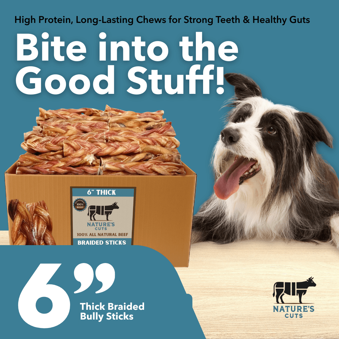 6" Braided Standard Bully Sticks