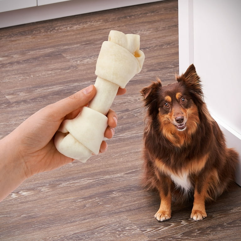 Rawhide bones and dogs deals