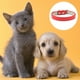 thumbnail image 3 of FloreceBien Collar para perros de piel suave: un collar para perros pequeños, medianos y grandes, 3 of 5