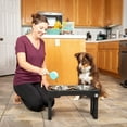 thumbnail image 3 of Pet Zone Designer Diner Adjustable Elevated Dog Double Feeder, 3 of 10