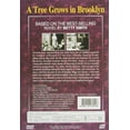 thumbnail image 3 of A Tree Grows in Brooklyn (DVD), Imports, Drama, 3 of 3