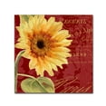 thumbnail image 2 of Trademark Fine Art "Ete IV" Canvas Art by Color Bakery, 2 of 2