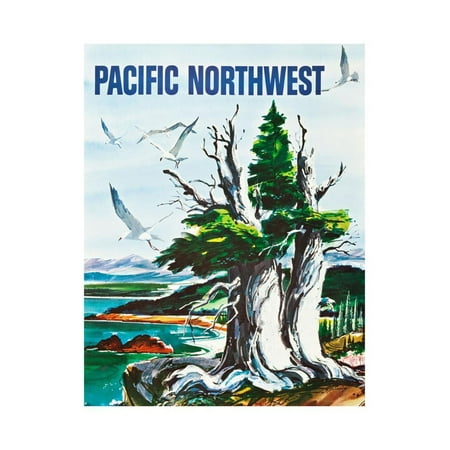 Pacific Northwest Print Wall Art