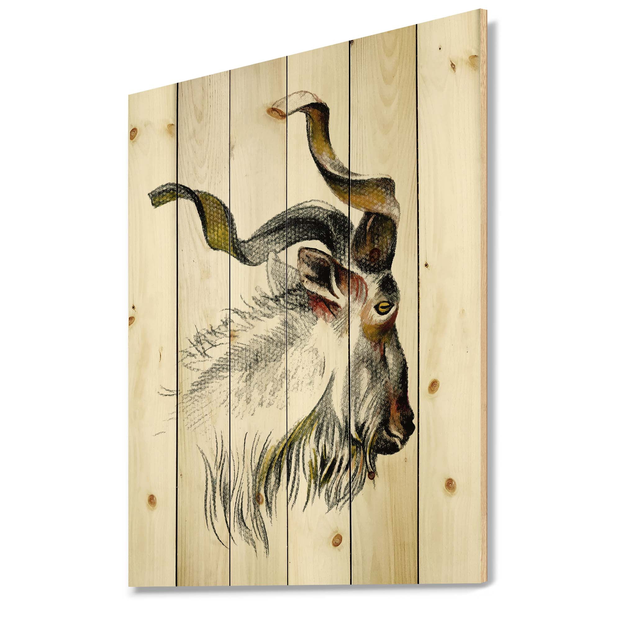 Designart 'Black and White Portrait Of Goat II' Farmhouse Print on Natural Pine Wood